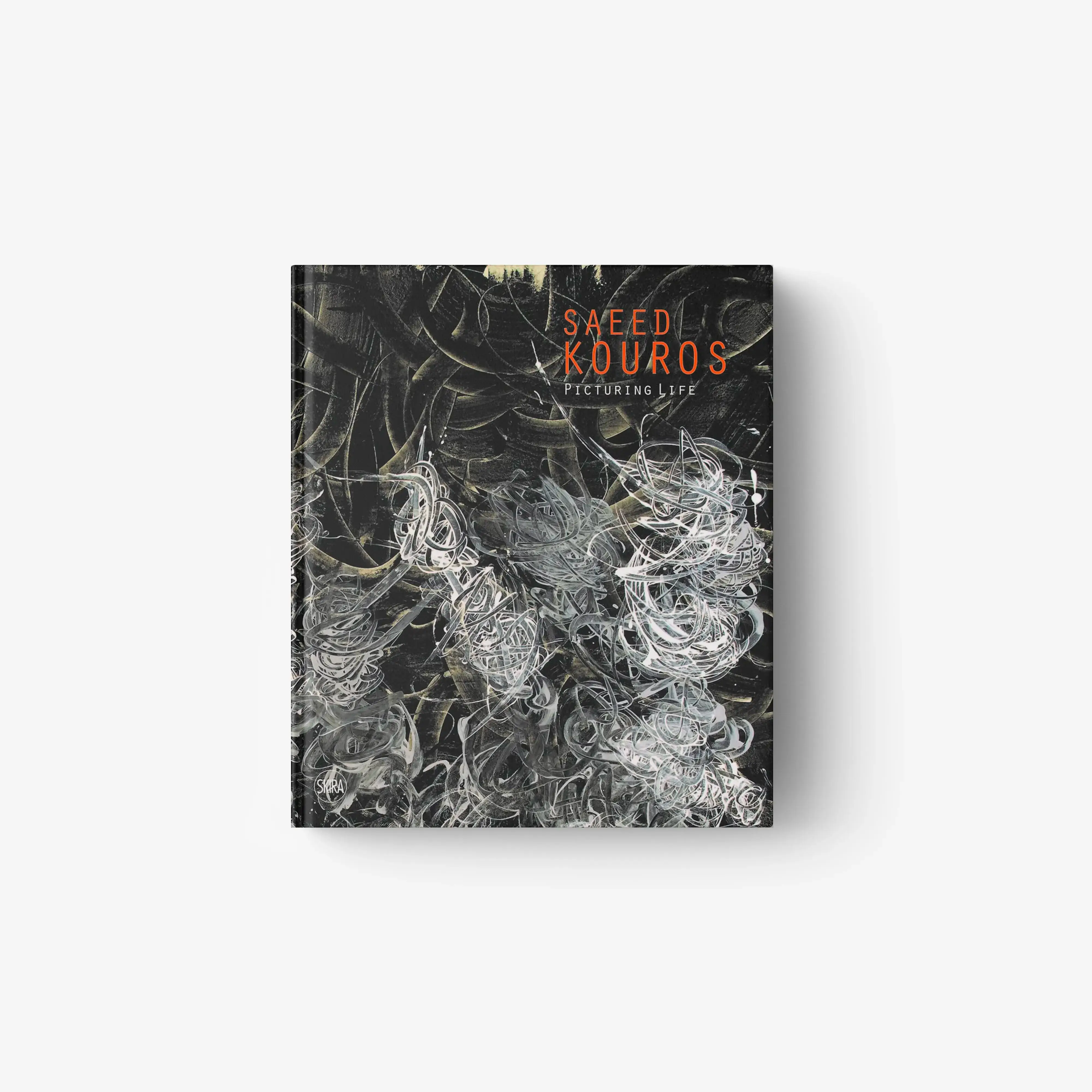 Saeed Kouros. Picturing Life