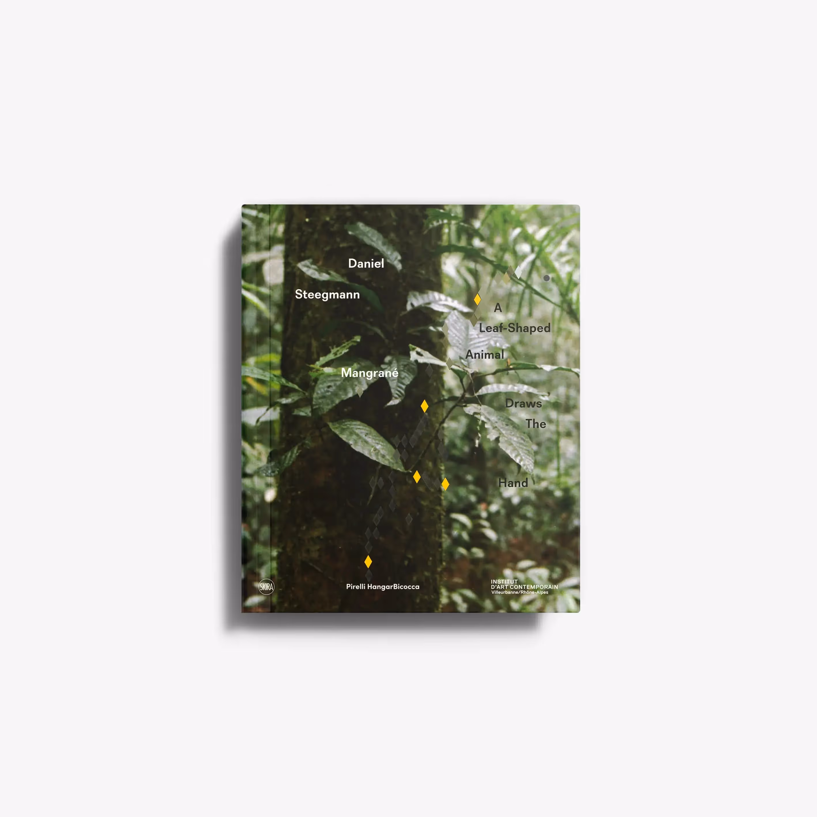 Daniel Steegmann Mangrané. A Leaf-Shaped Animal Draws The Hand