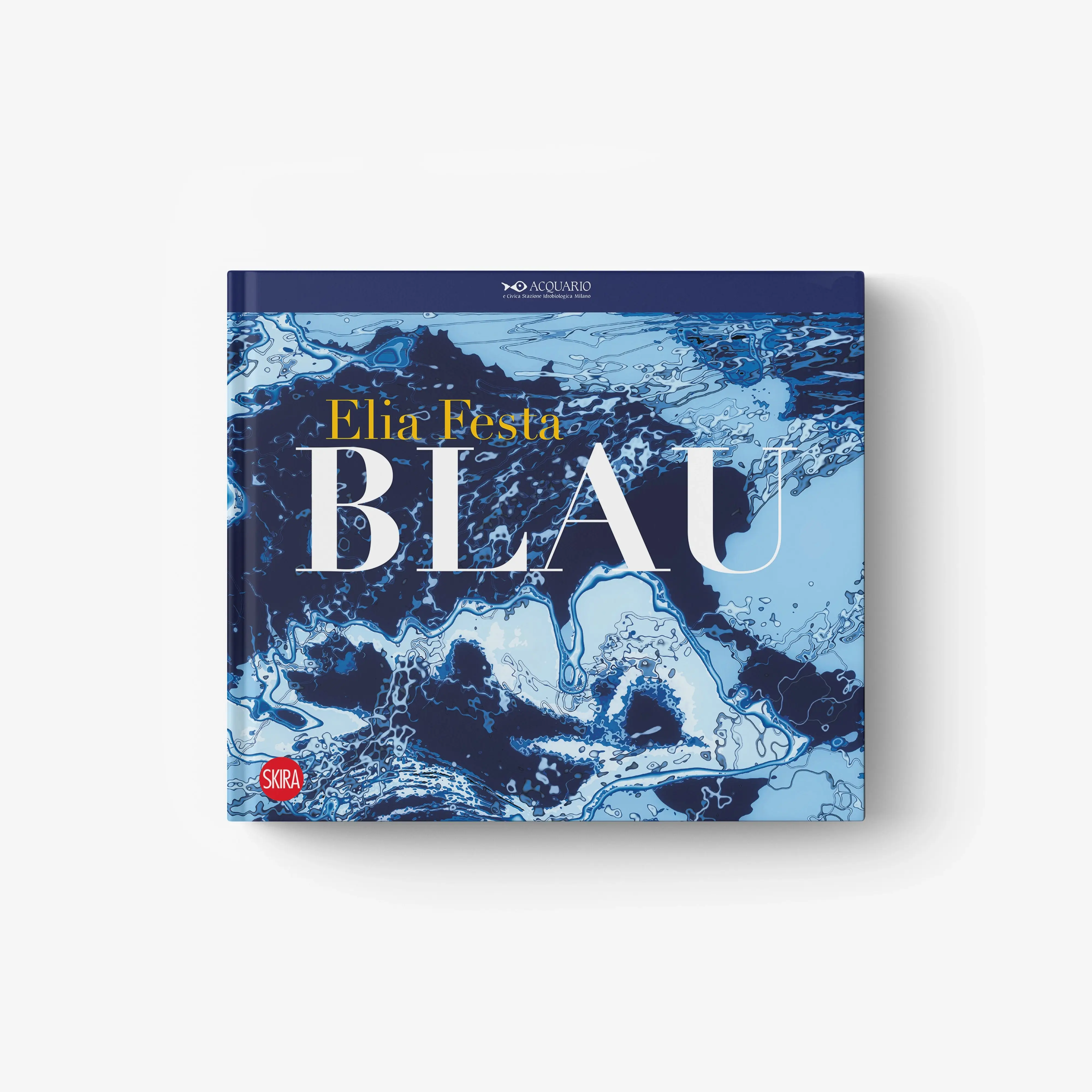 Elisa Festa. BLAU