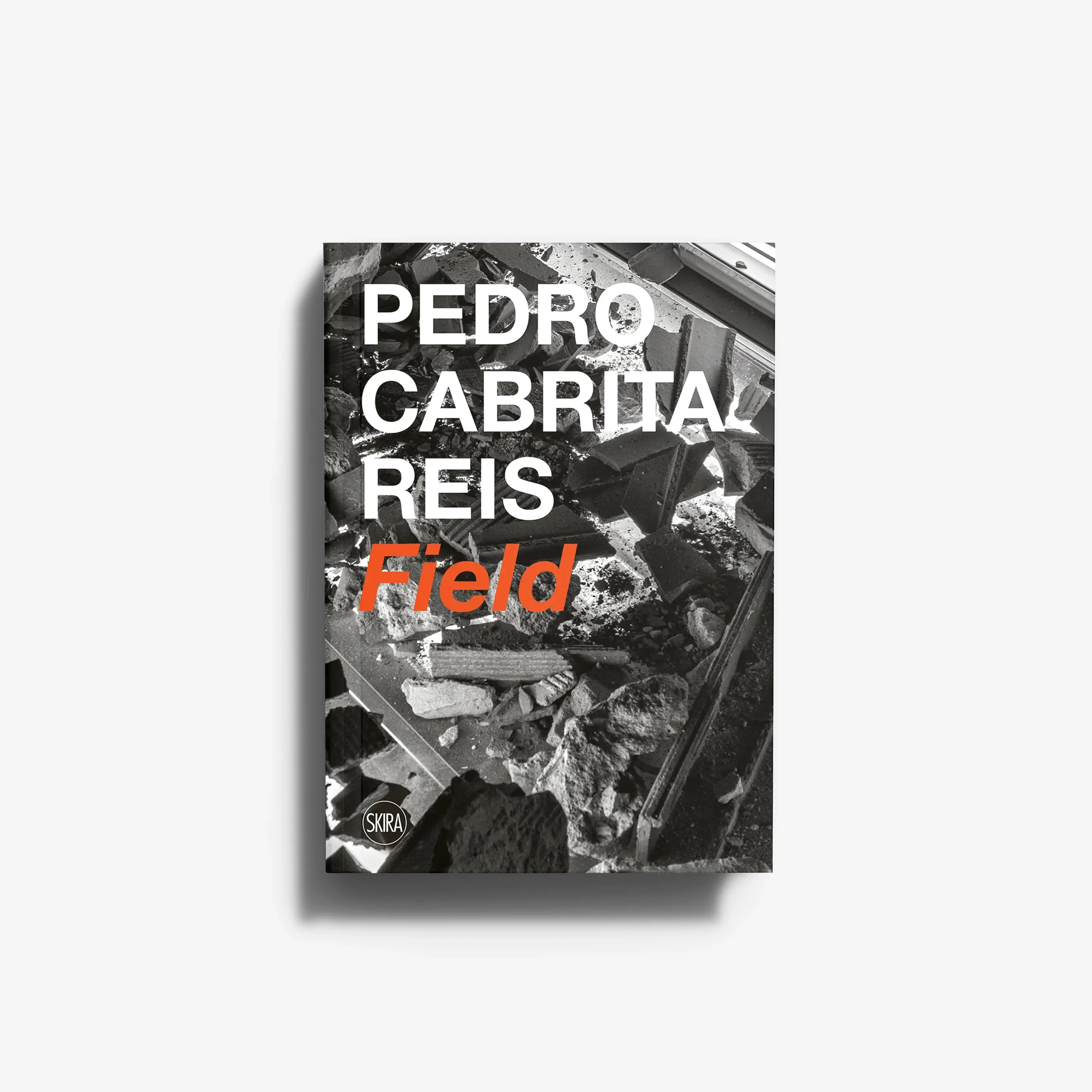 Pedro Cabrita Reis. Field