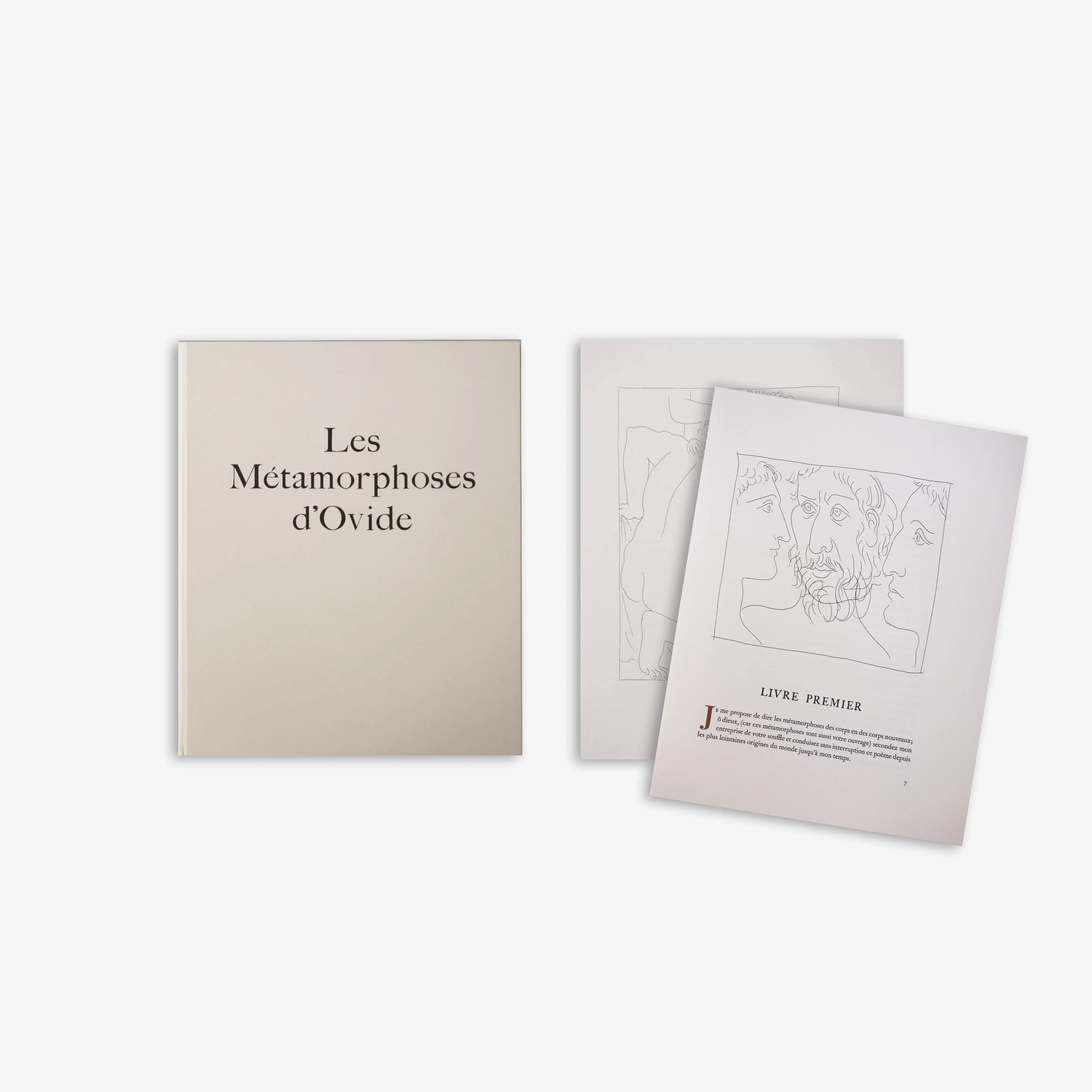 Ovide. Les Métamorphoses