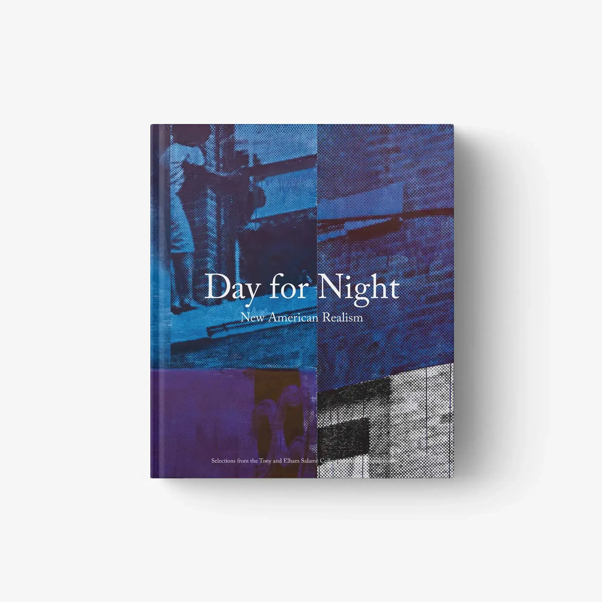 DAY FOR NIGHT. New American Realism