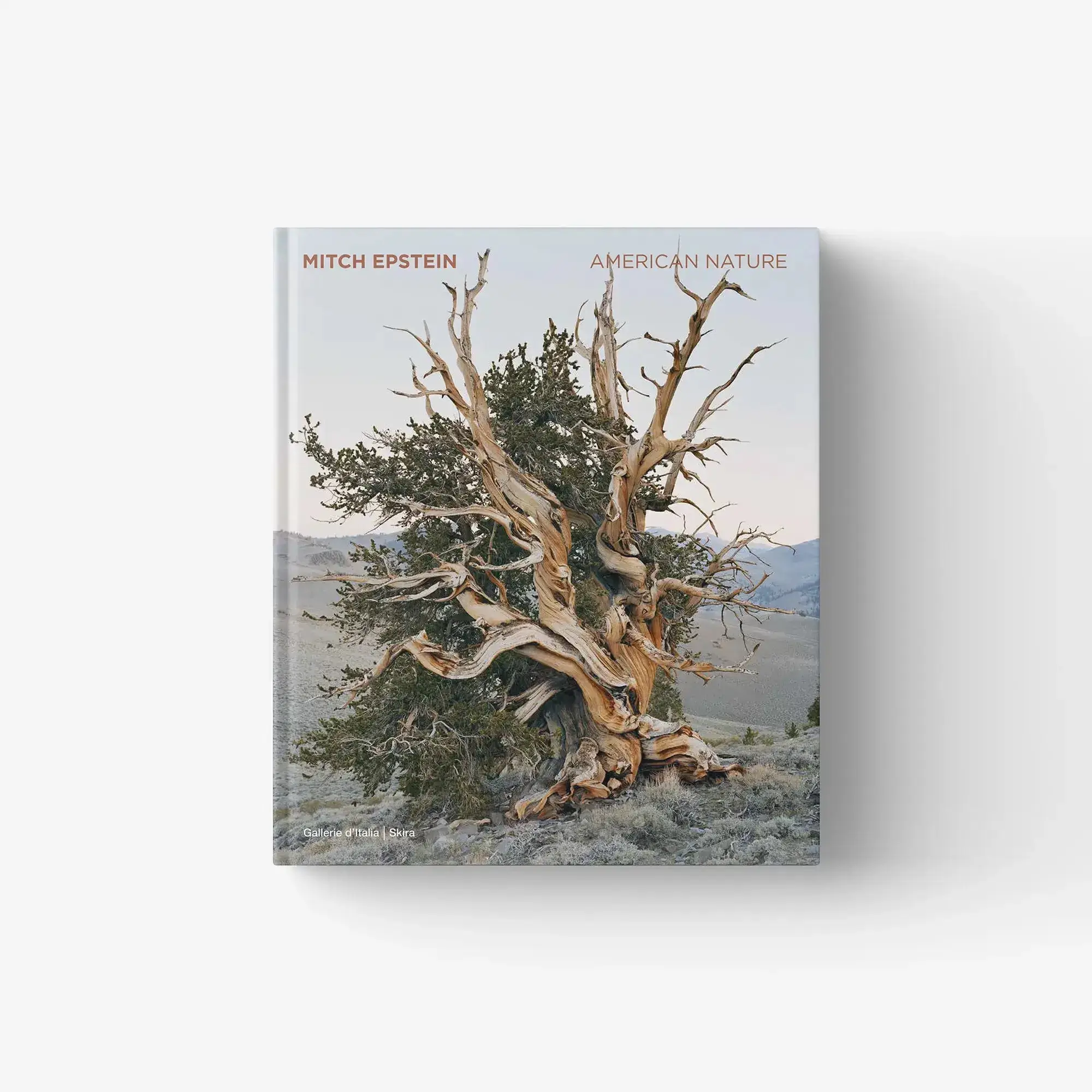 Mitch Epstein. American Nature