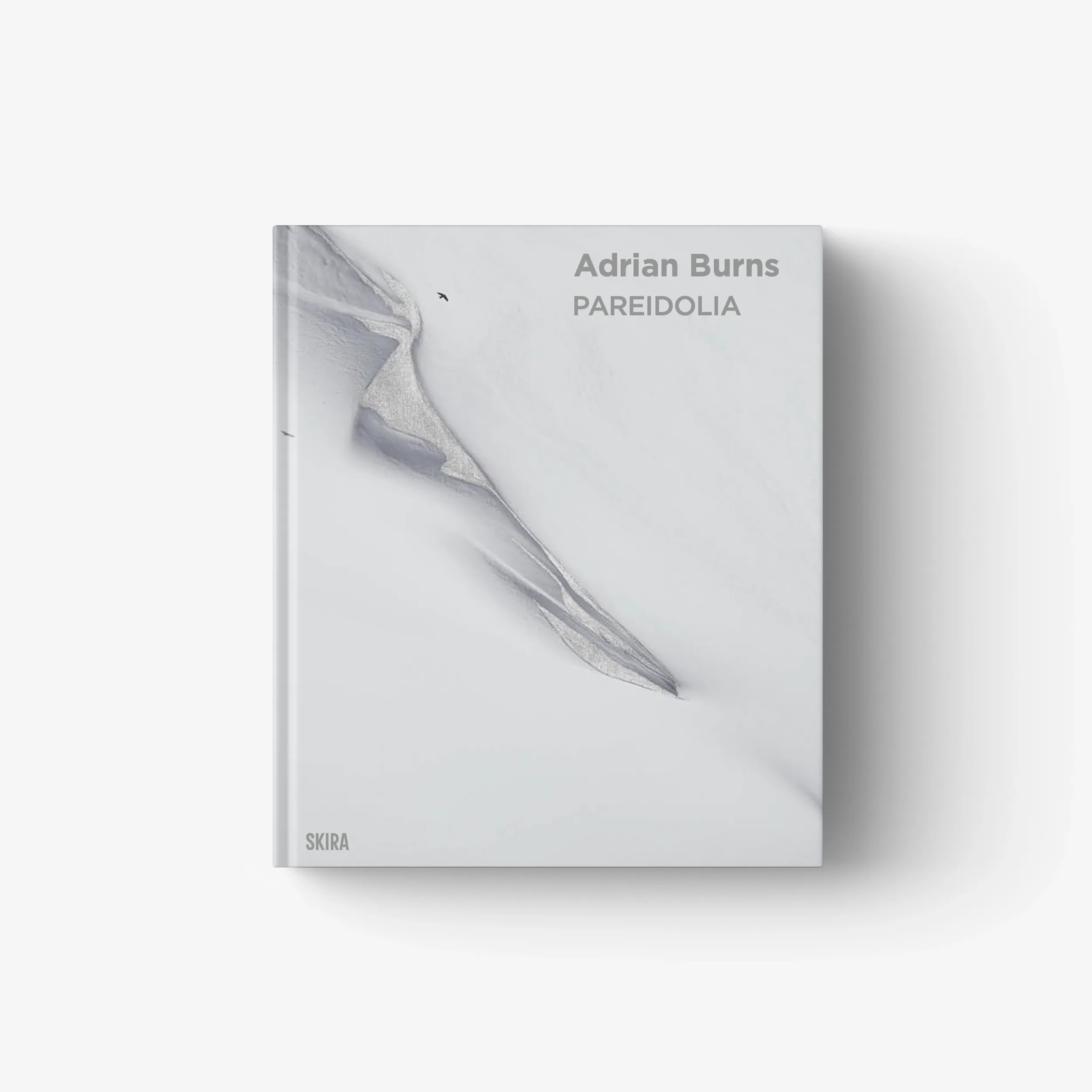 Adrian Burns. Pareidolia