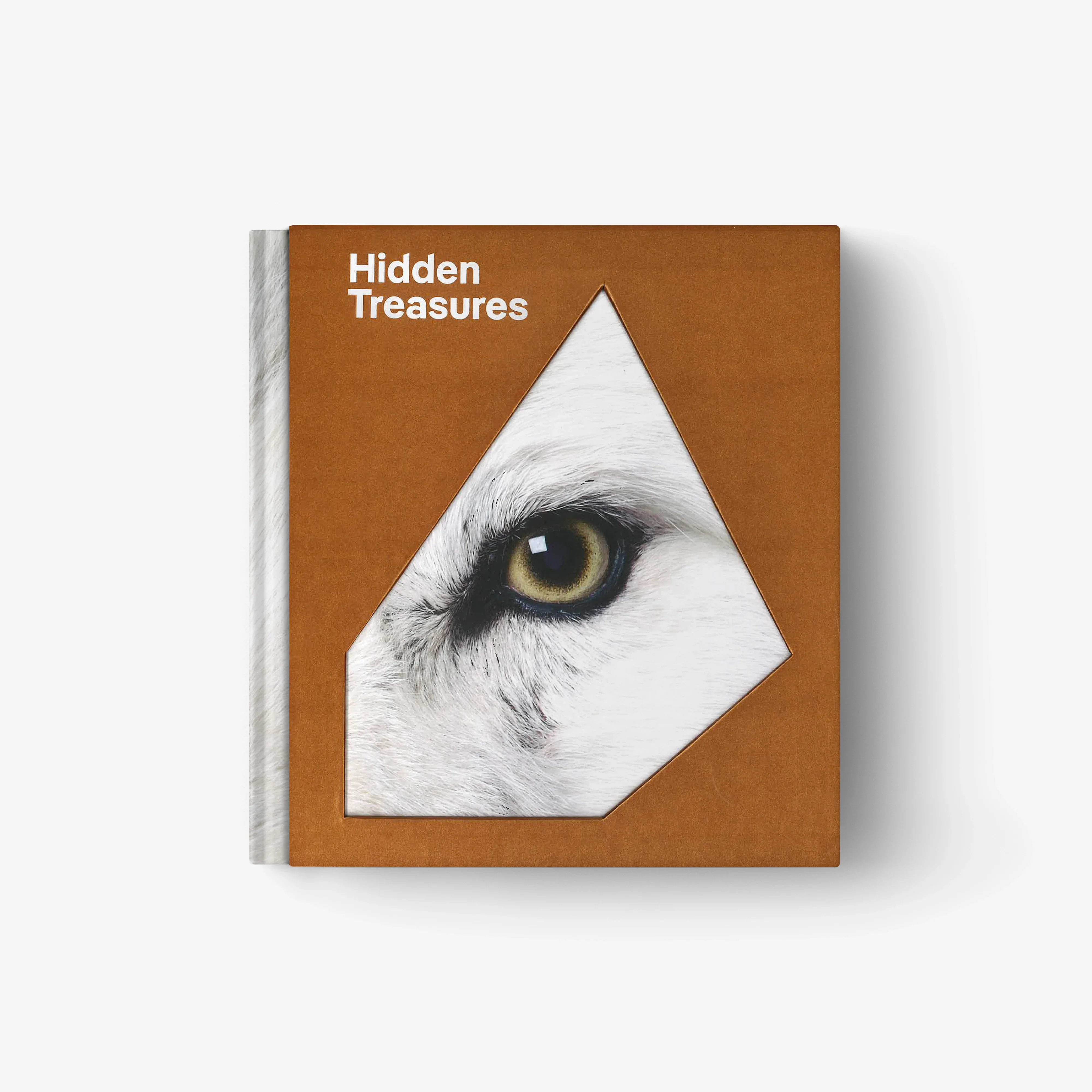 Hidden Treasure (English Edition) | Natural History Museum Abu Dhabi