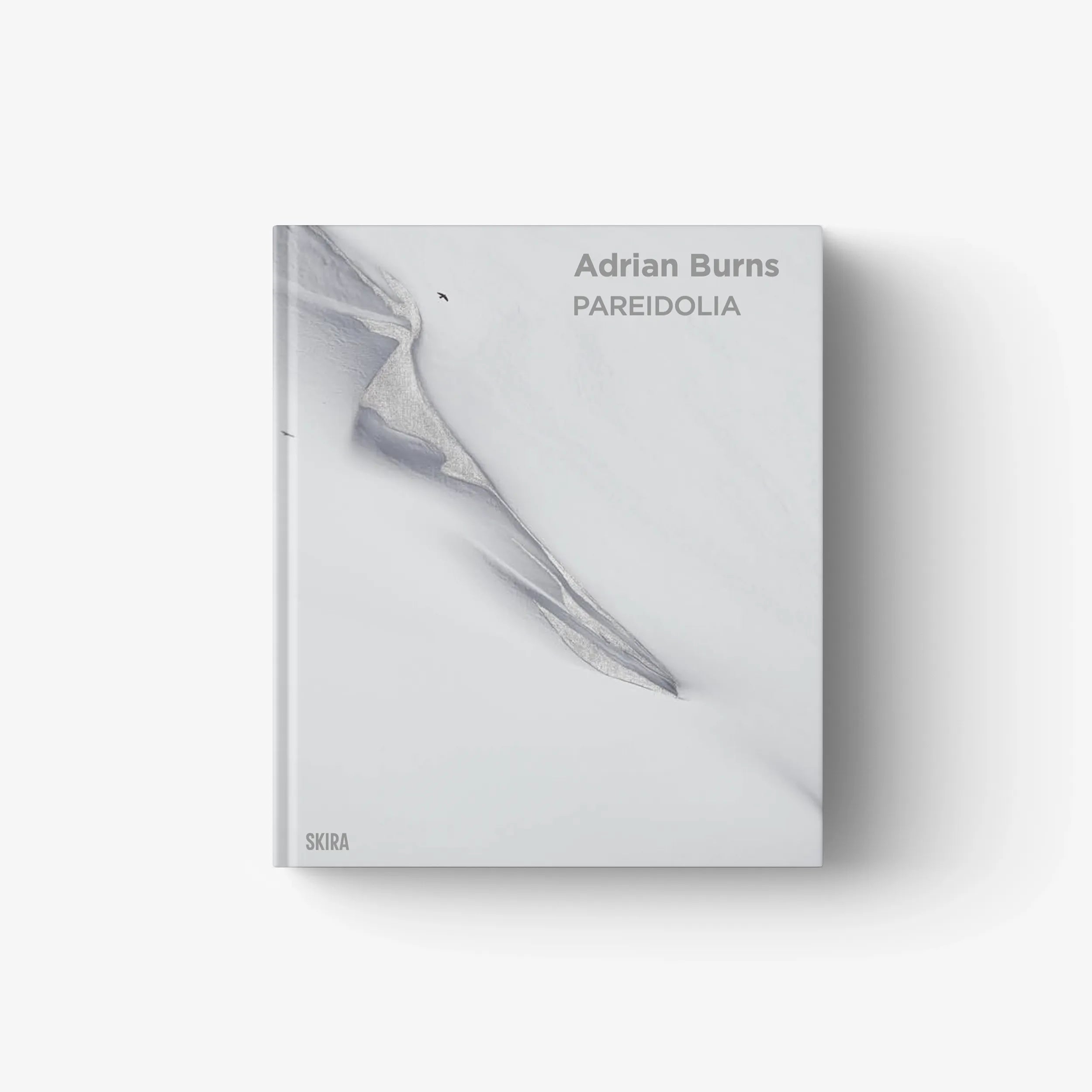 Adrian Burns. Pareidolia