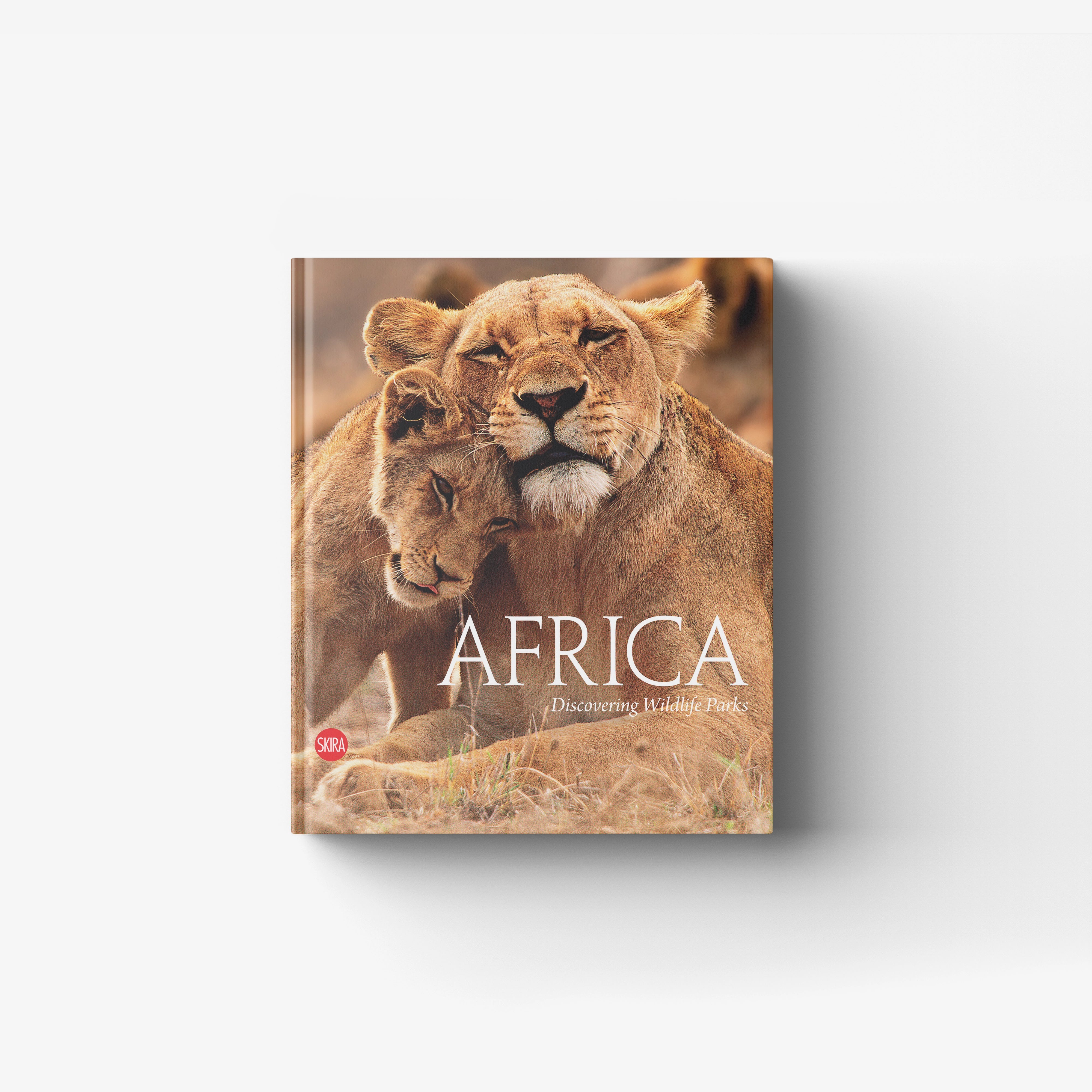 Africa. Discovering wildlife parks