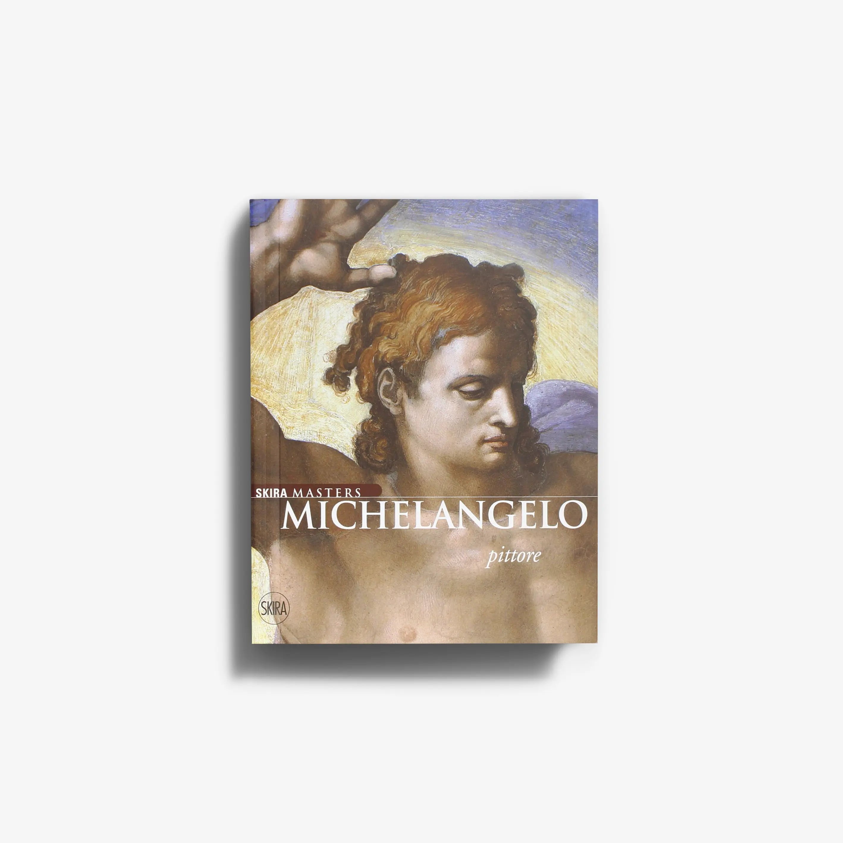 Michelangelo pittore