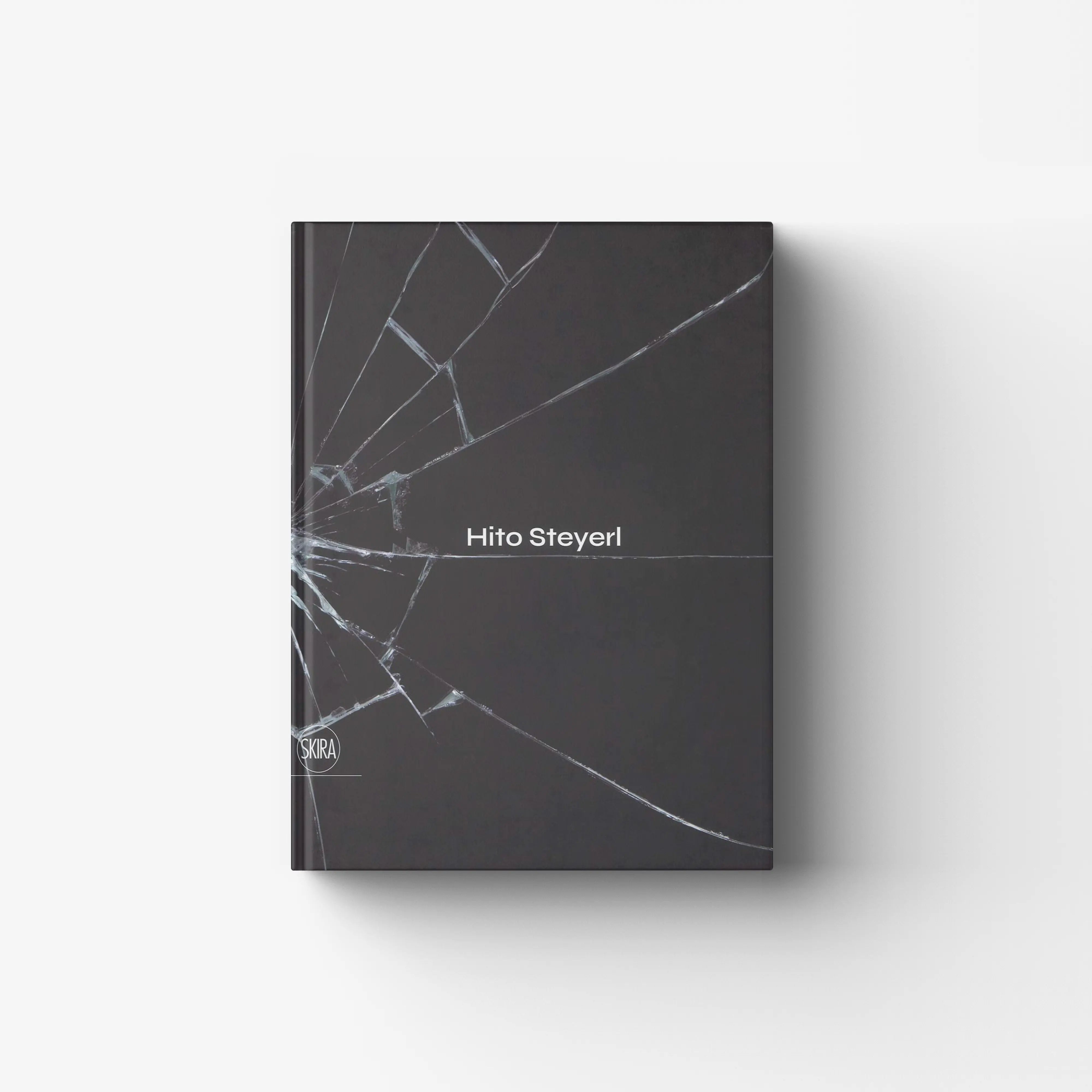Hito Steyerl (English Edition)