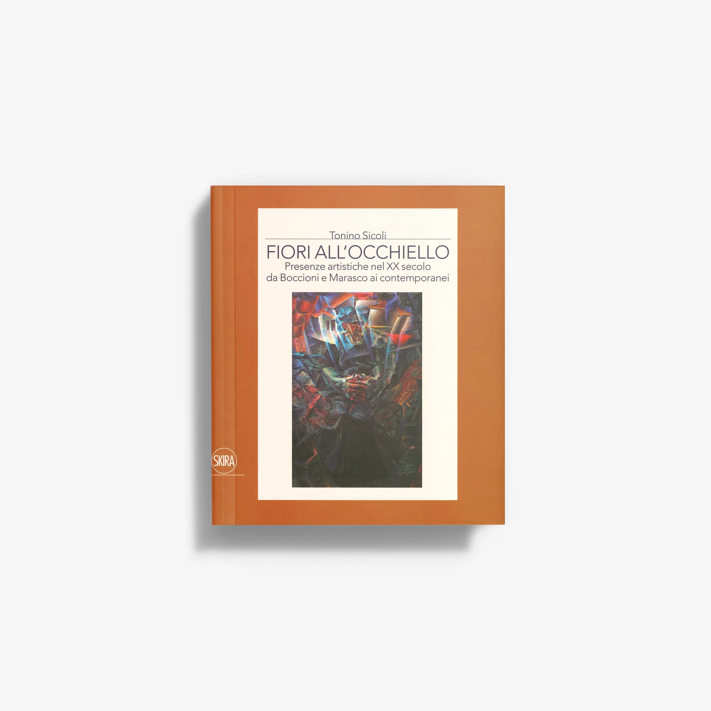 Fiori all'occhiello Presenze artistiche nel XX secolo da Boccioni e Marasco ai contemporanei