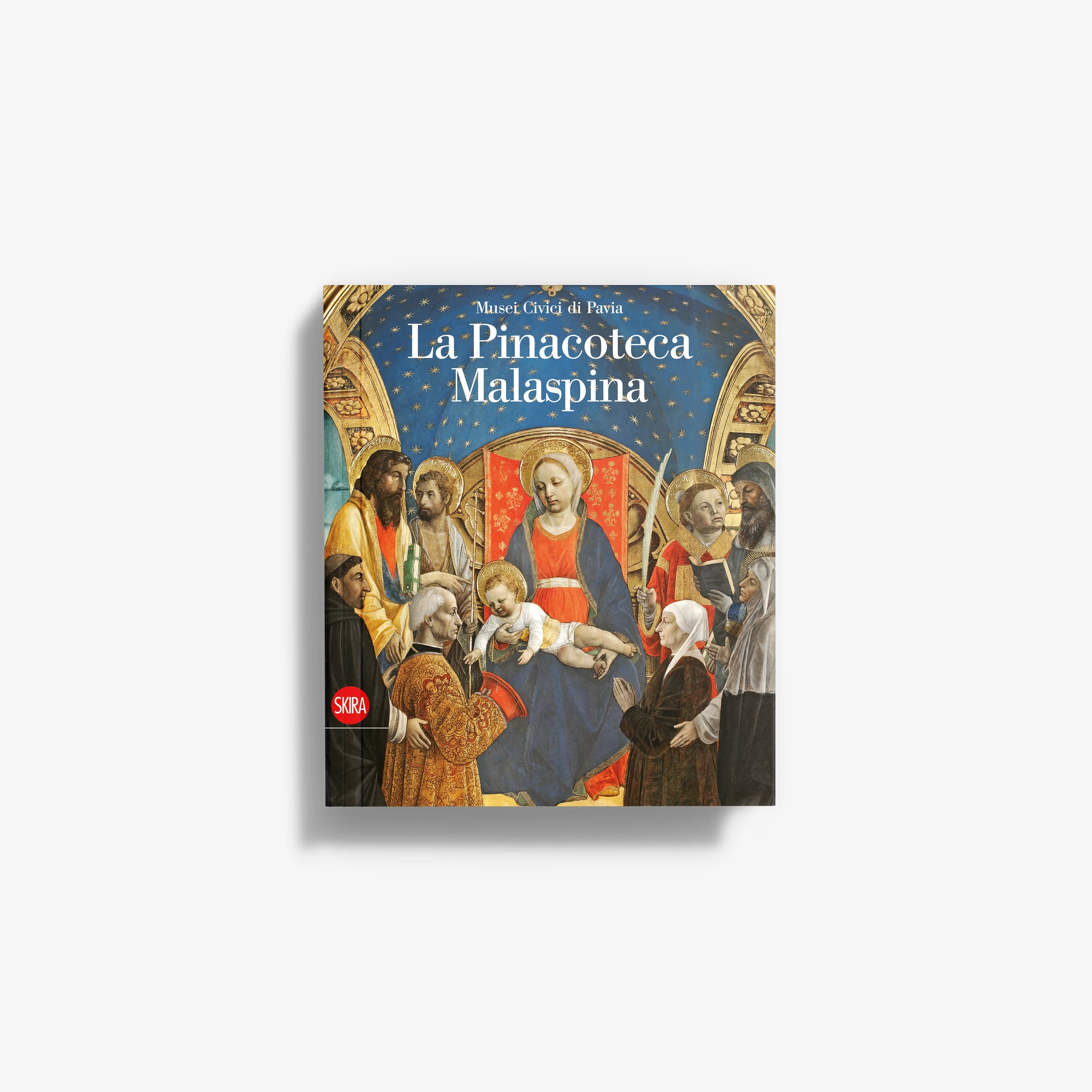 La Pinacoteca Malaspina