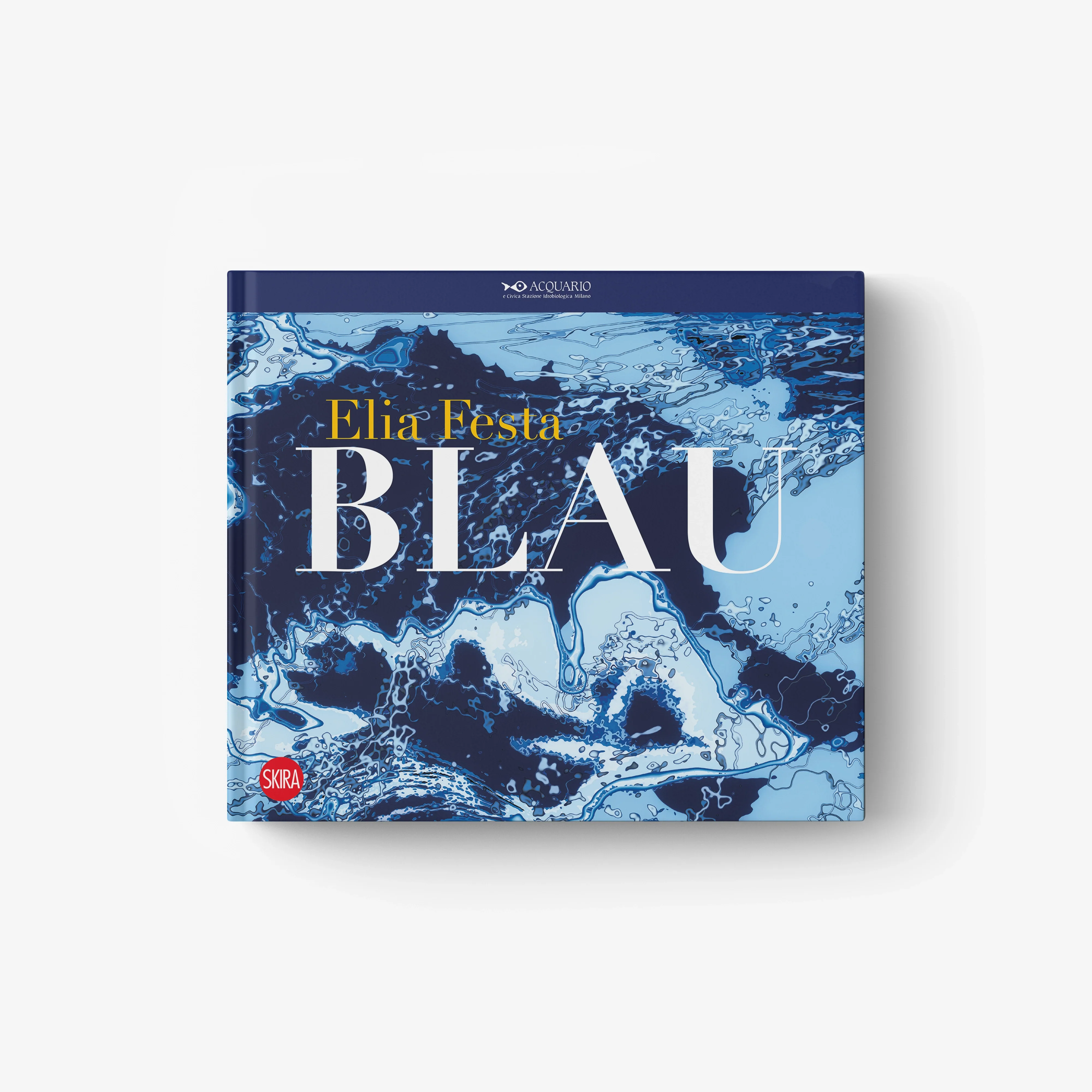 Elisa Festa. BLAU