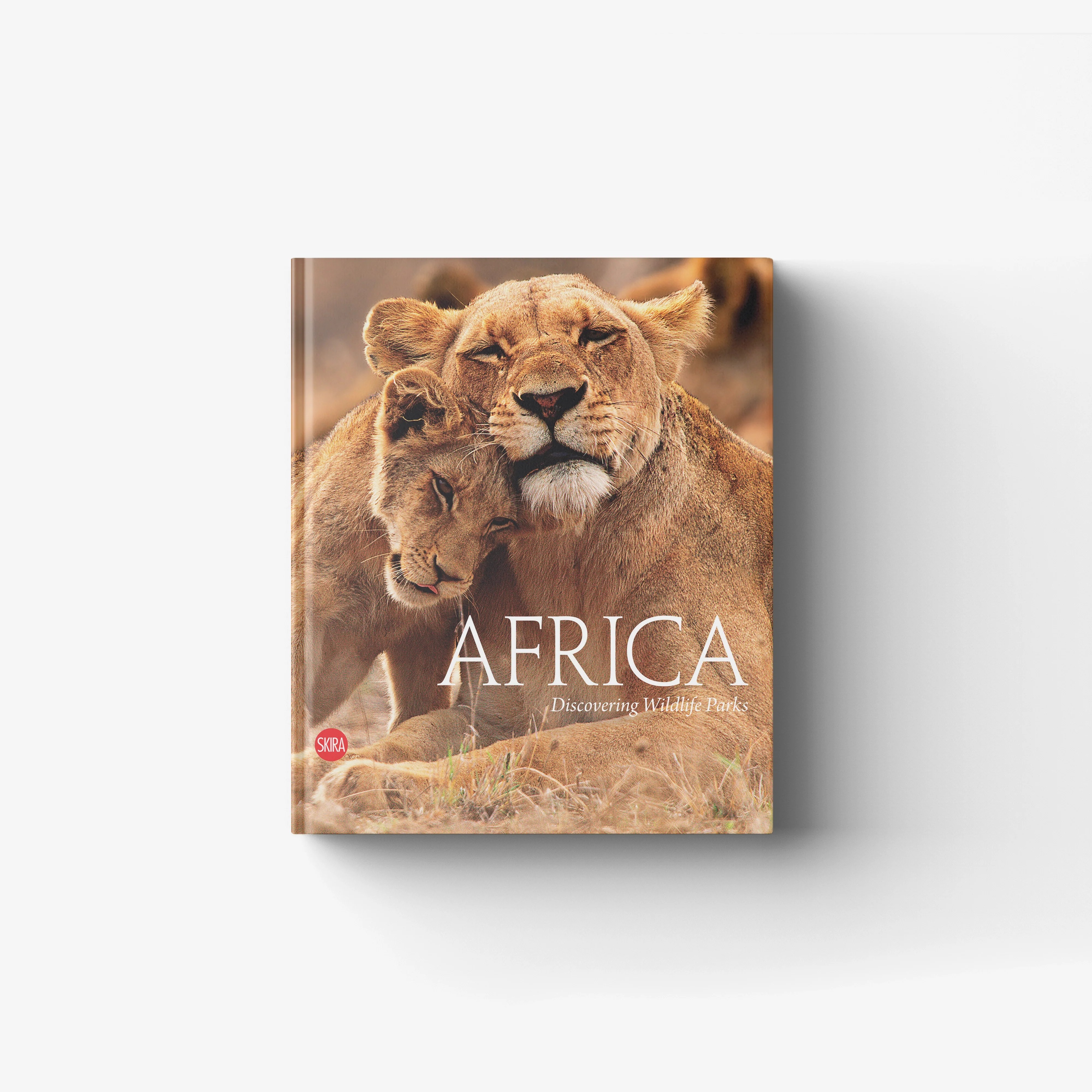 Africa. Discovering wildlife parks