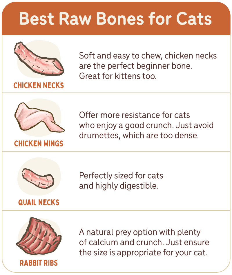 Top picks: Chicken Necks Soft and easy to chew, chicken necks are the perfect beginner bone. Great for kittens too. Chicken Wing Tips or Mid-Sections Offer more resistance for cats who enjoy a good crunch. Just avoid drumettes, which are too dense. Quail Necks or Frames Perfectly sized for cats and highly digestible. Rabbit Ribs A natural prey option with plenty of calcium and crunch. Just ensure the size is appropriate for your cat.