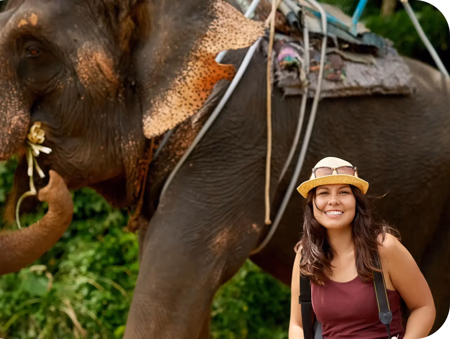 Elephant Trekking