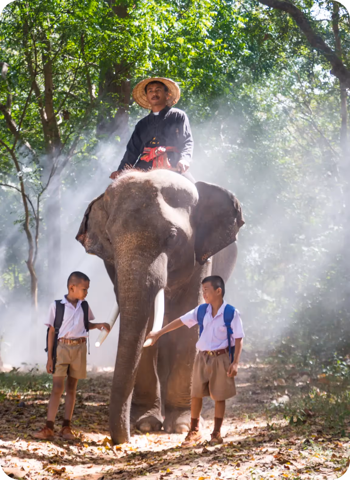 Elephant Trekking