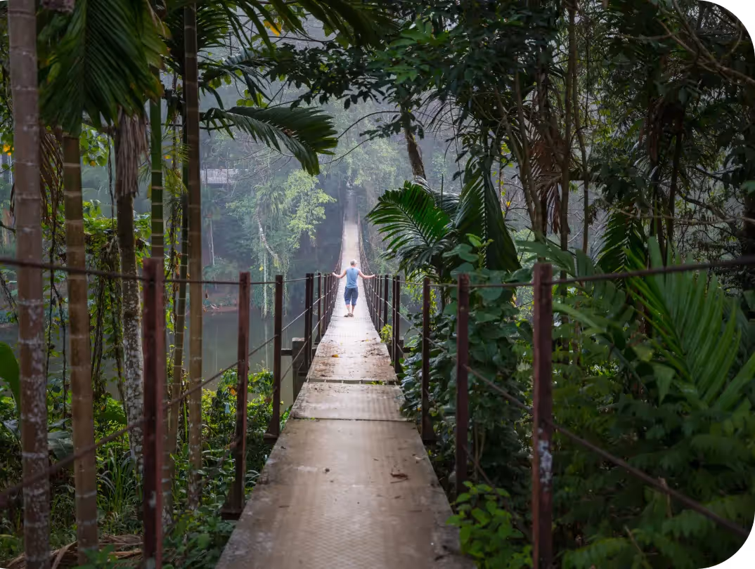 Jungle Tour