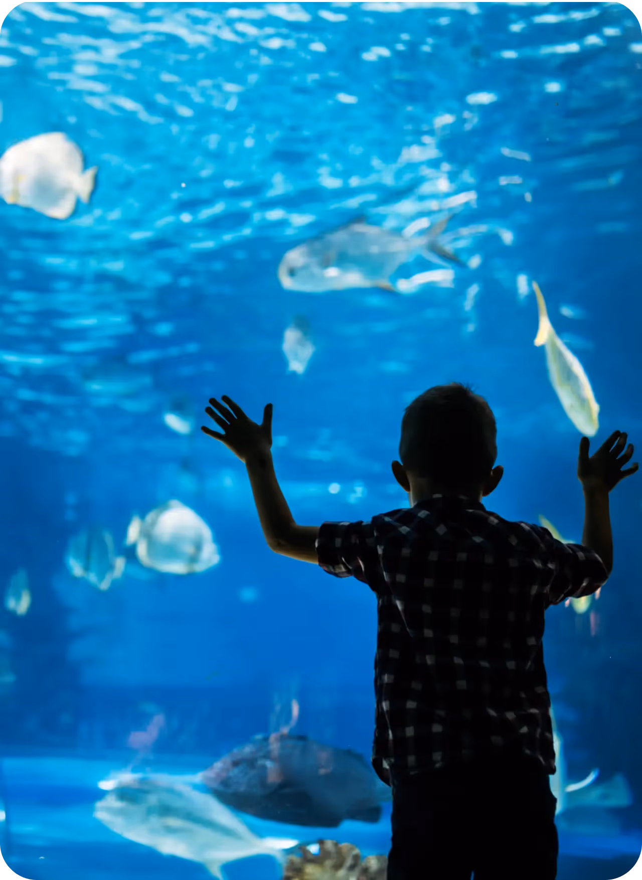 Underwater World