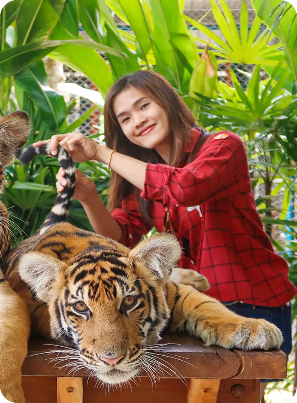 Tiger Park