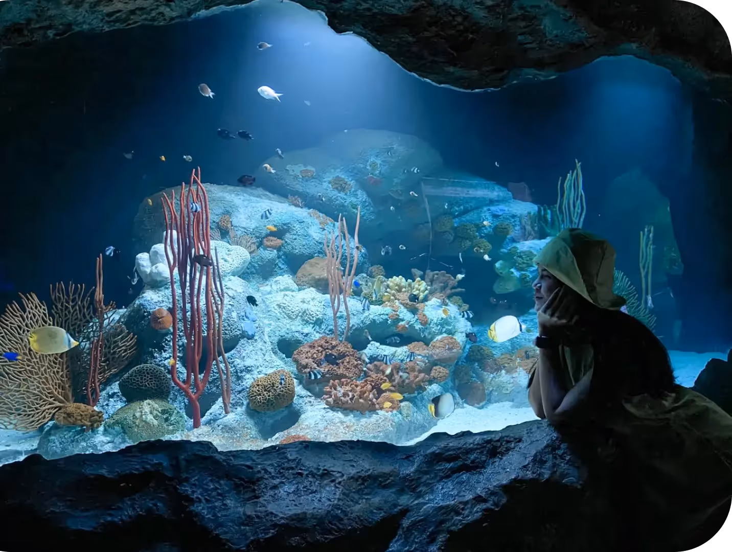 Underwater World