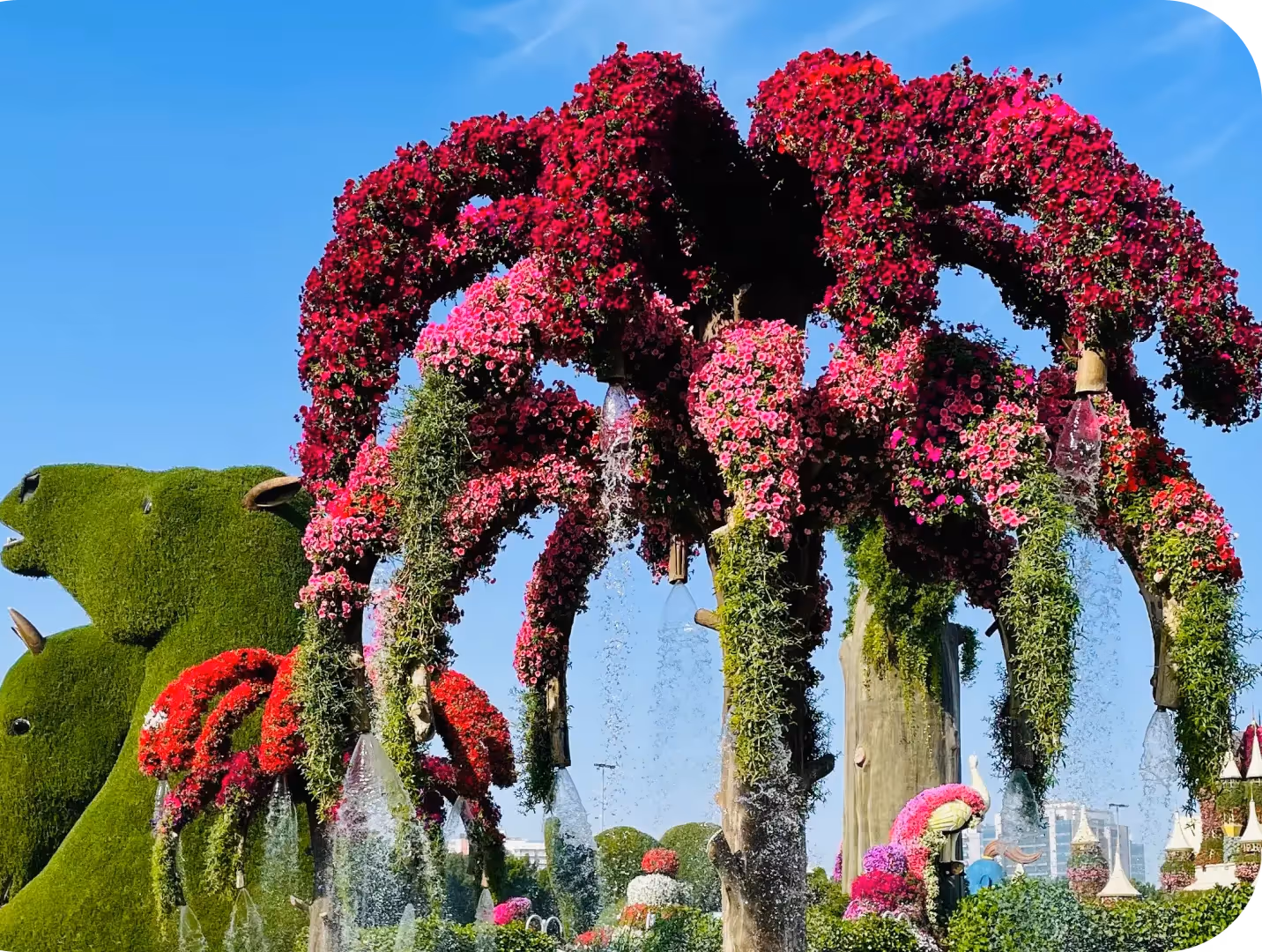 Miracle Garden