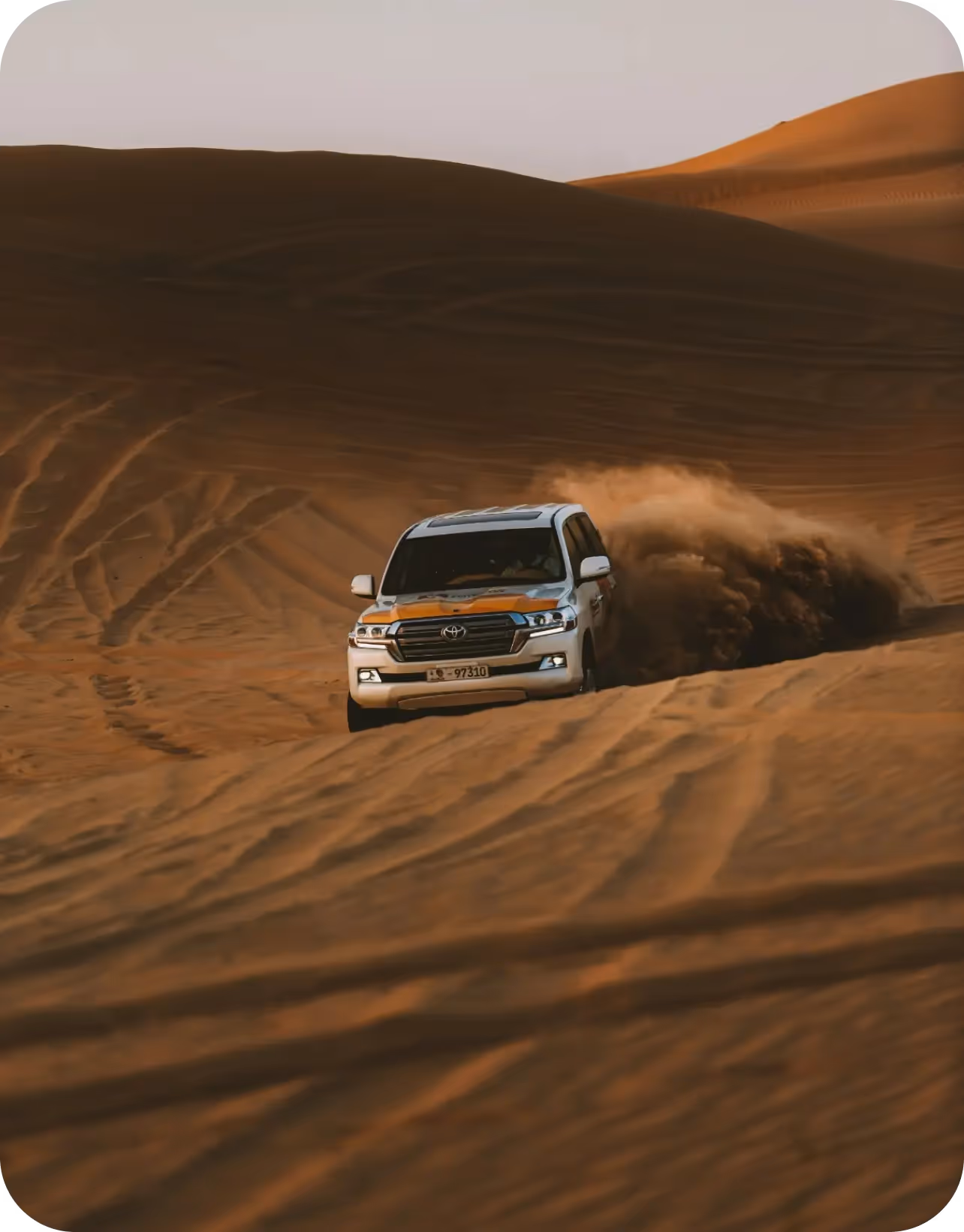 Desert safari