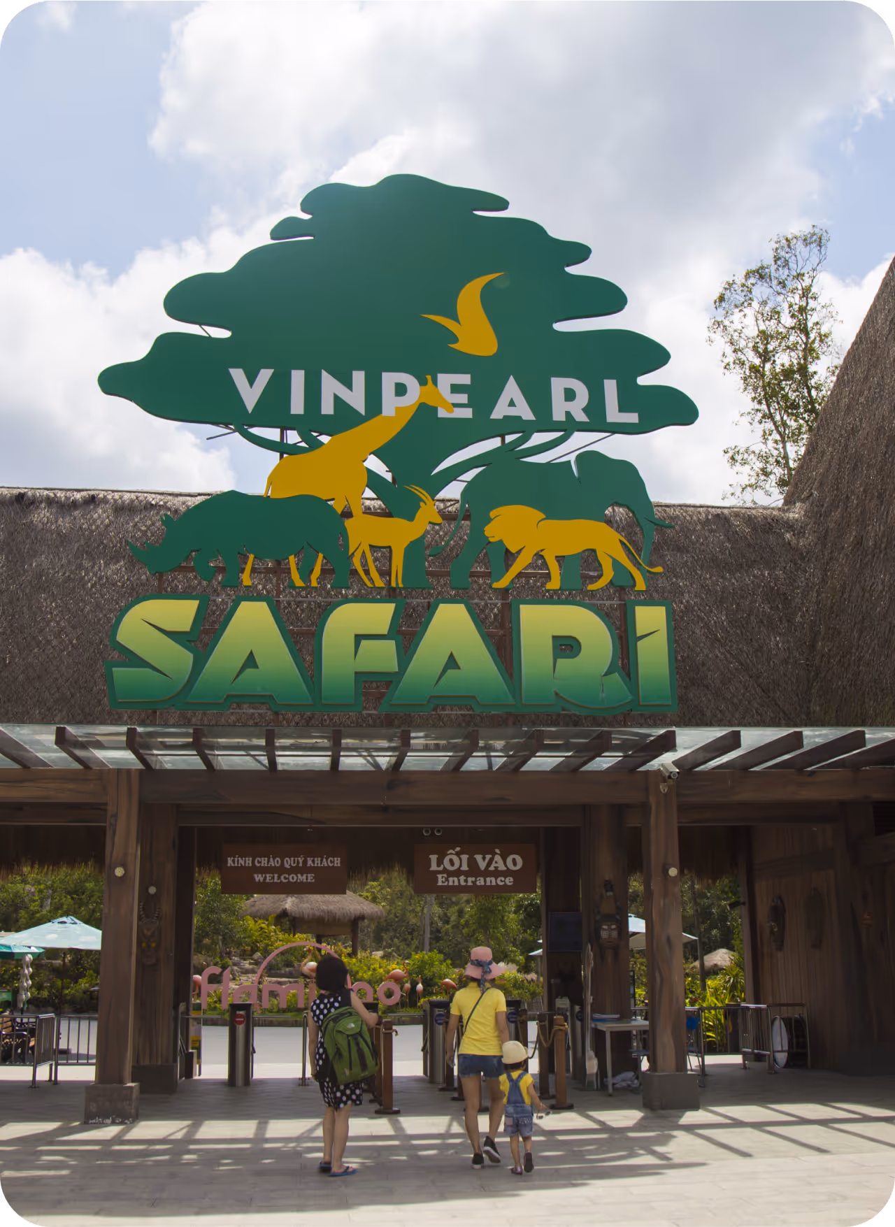 Vin Safari