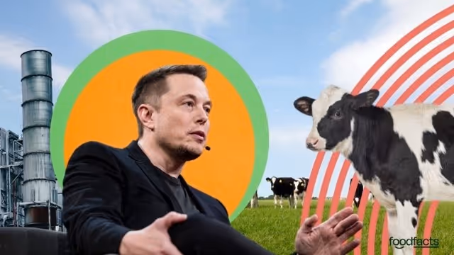A collage-style image shows Elon Musk seated and speaking, with industrial structures on the left and a cow on a grassy field to the right. Bright graphic elements including green, orange, and red circles add a surreal effect. The image accompanies a FoodFacts.org article discussing Elon Musk's controversial claim that animal agriculture makes no difference to global warming.