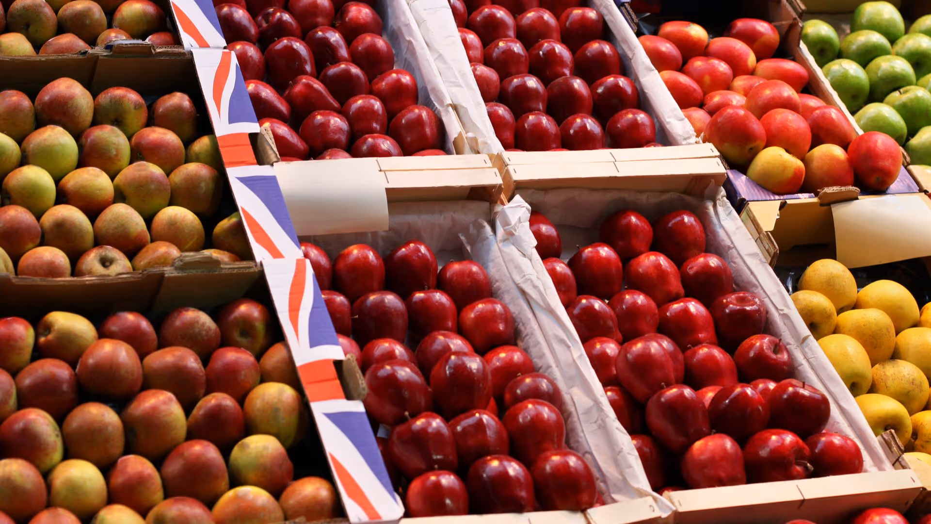 Different varieties of apples are on a store shelf