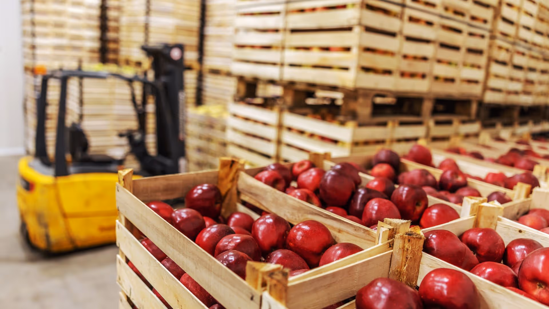 Many wooden of pallets containing red apples are in a warehouse