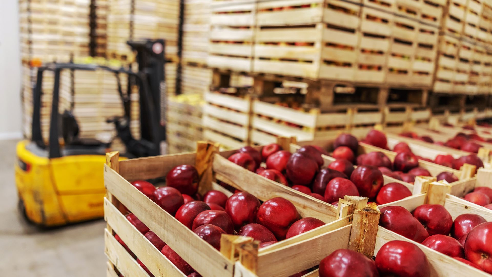 Many wooden of pallets containing red apples are in a warehouse