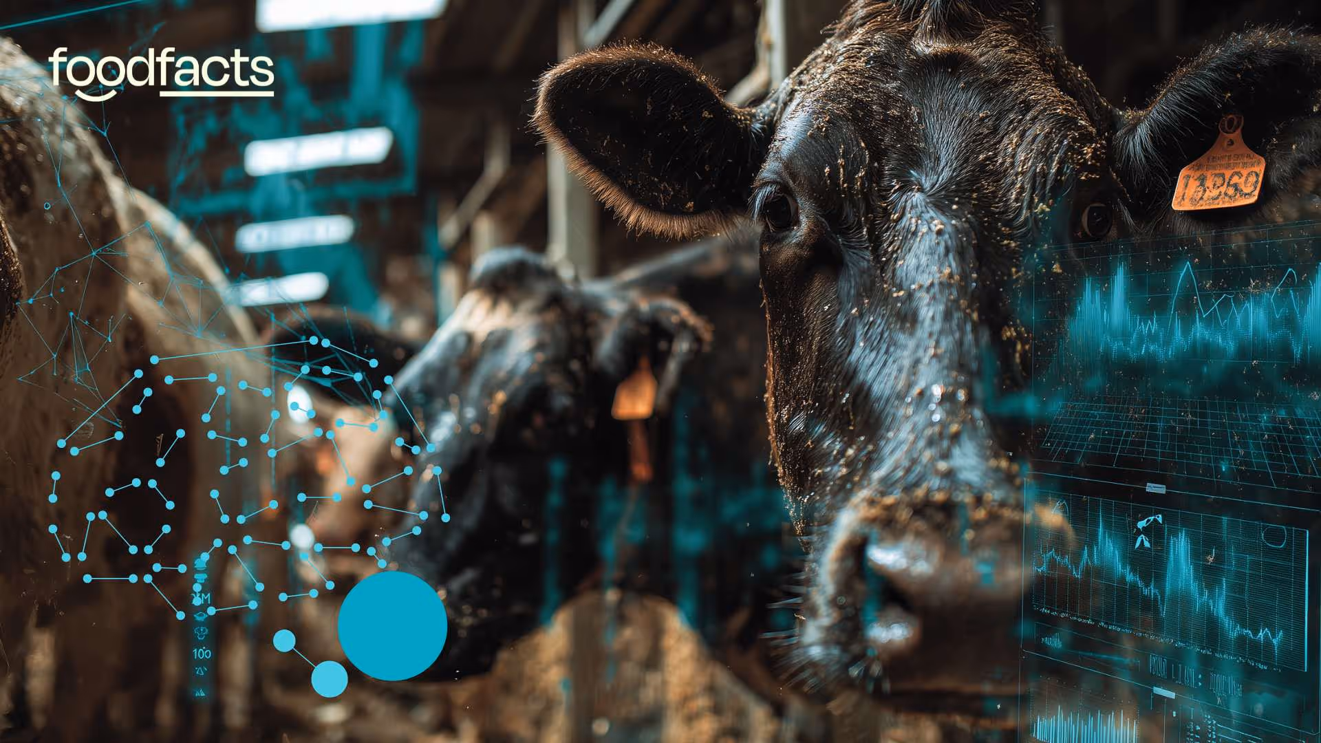 Farmed animals will be likely negatively affected by the use of ai in industrialised animal agriculture systems, due to the increase in demand for efficiency and lowering of ethical standards. 