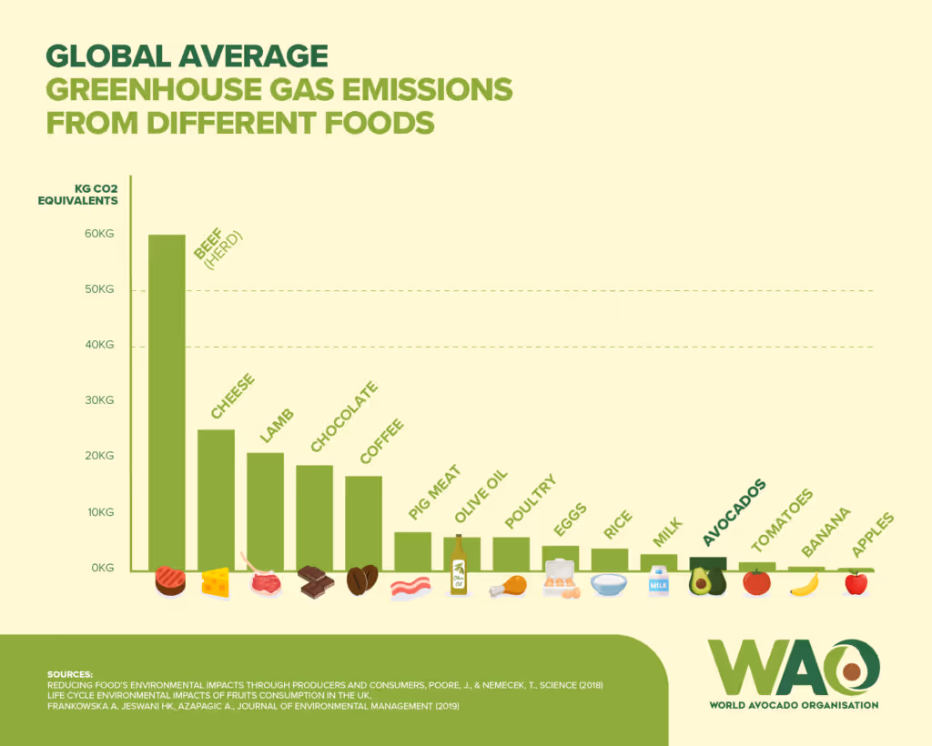 A bar chart comparing the greenhouse gas emissions of different foods