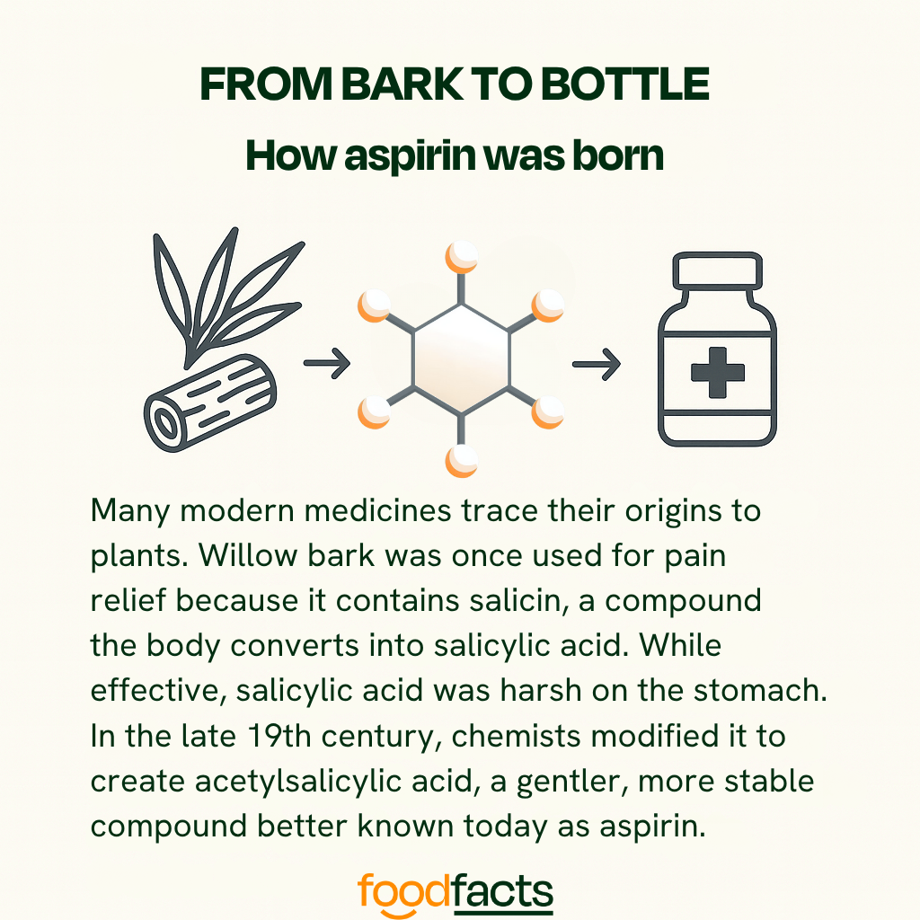 A simple infographic showing how aspiring was born from willow bark