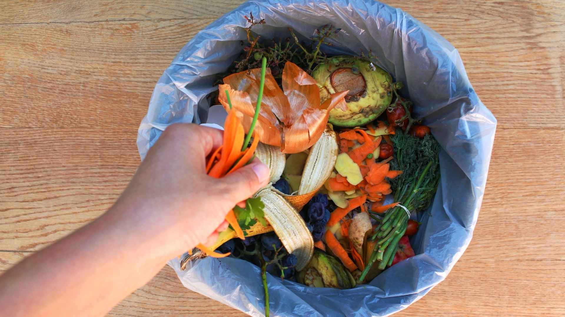 A person throws food into a food waste bin