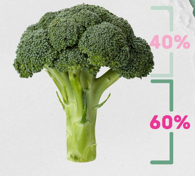 A broccoli with a diagram showing that only 40% of the broccoli is the florets, whilst 60% is the stalk.