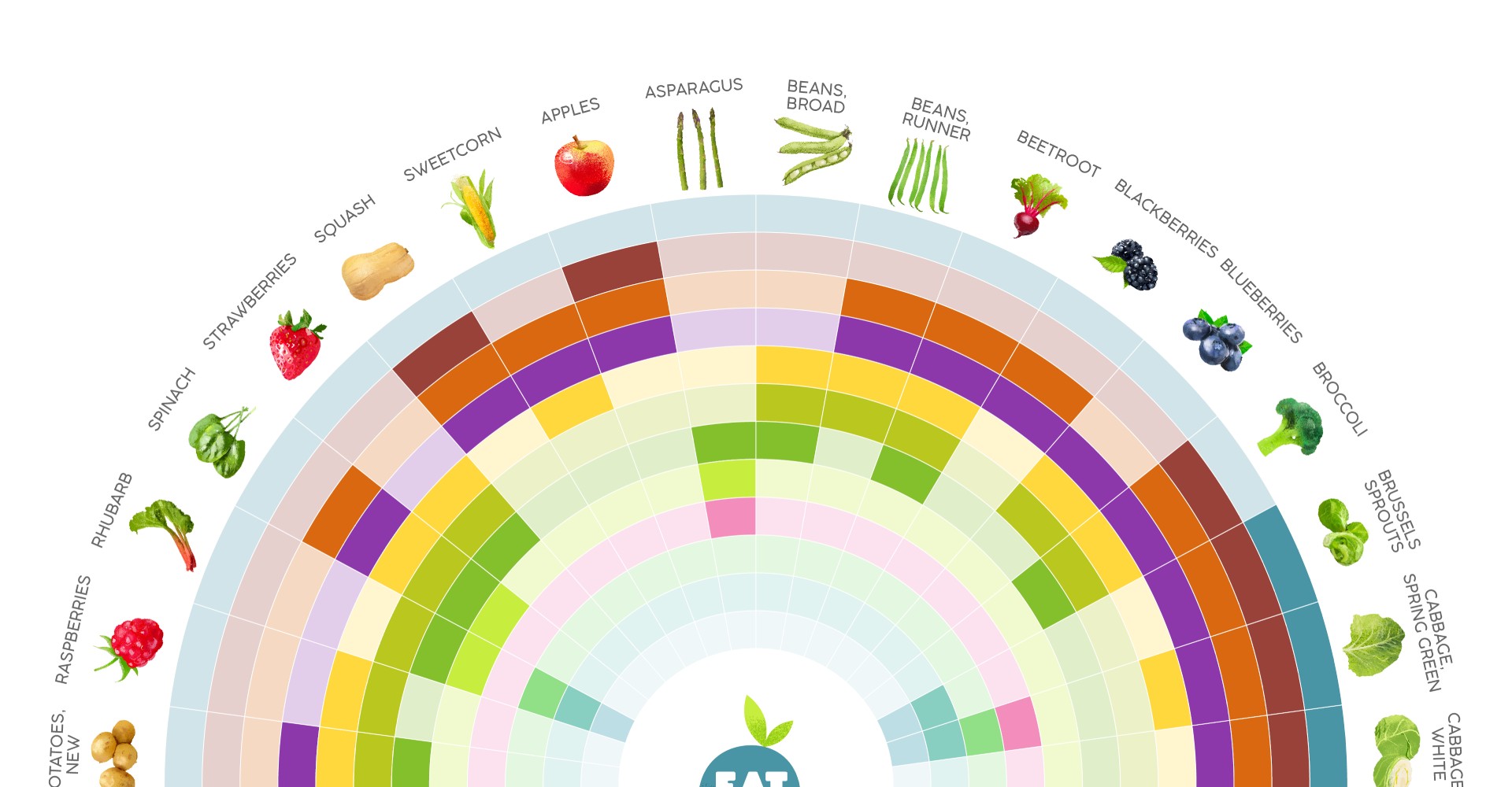 A graphic showing when different fruits and vegetables are in season