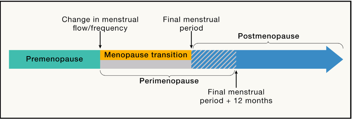 A graph showing the different stages of the menopauase