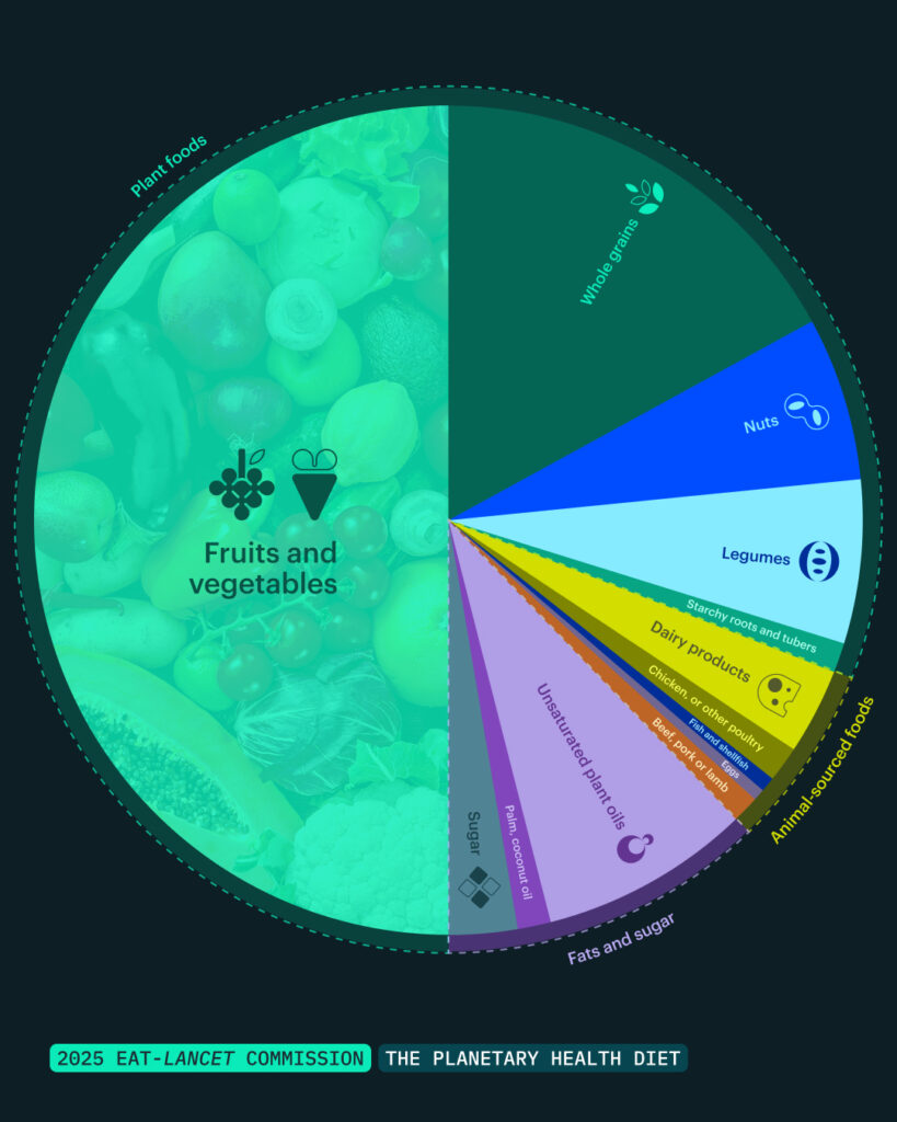 A pie chart showing the Eat Lancer Planetary Health Diet recommendations