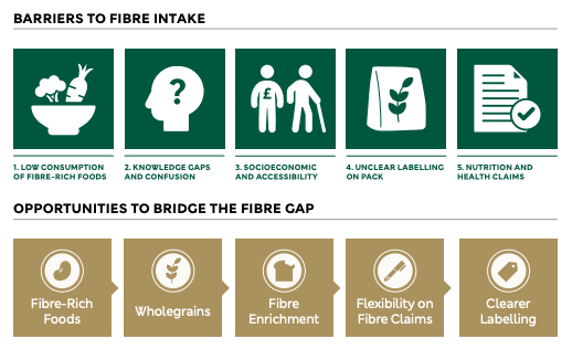 A list of ways to incease fibre content