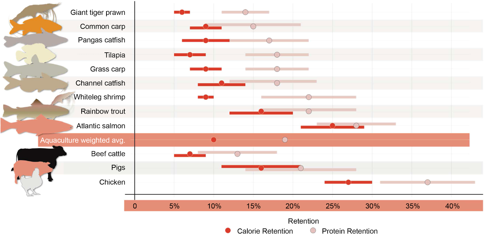 A graph showing the calorie and protein retention of various farmed fish and animals
