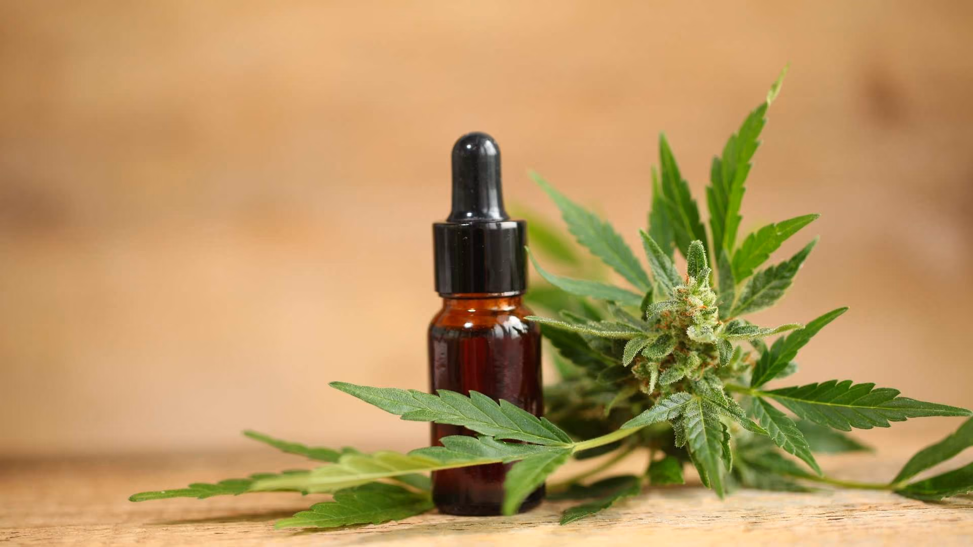 A tincture bottle of CBD