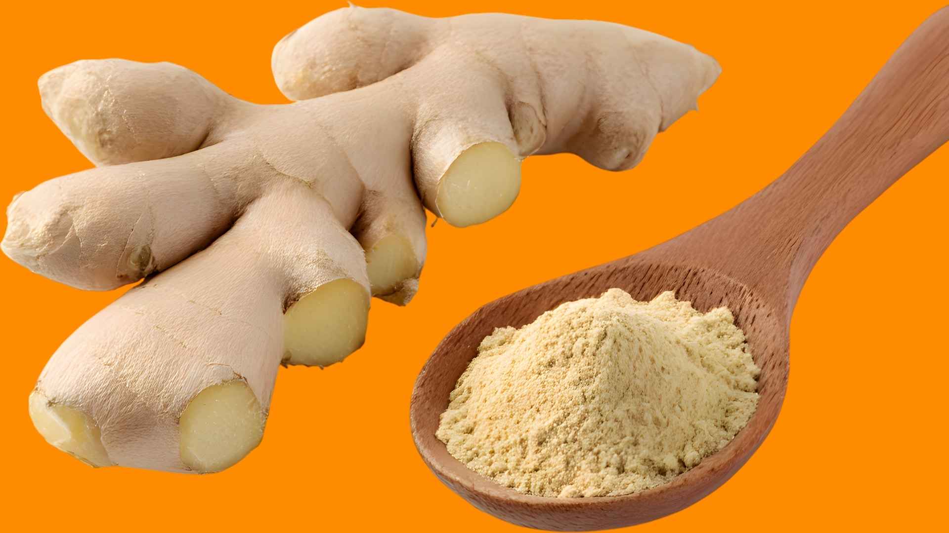 A bulb of root ginger is next to a spoon of powdered ginger