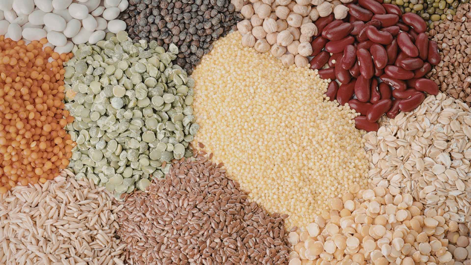 A platter of different pulses and beans