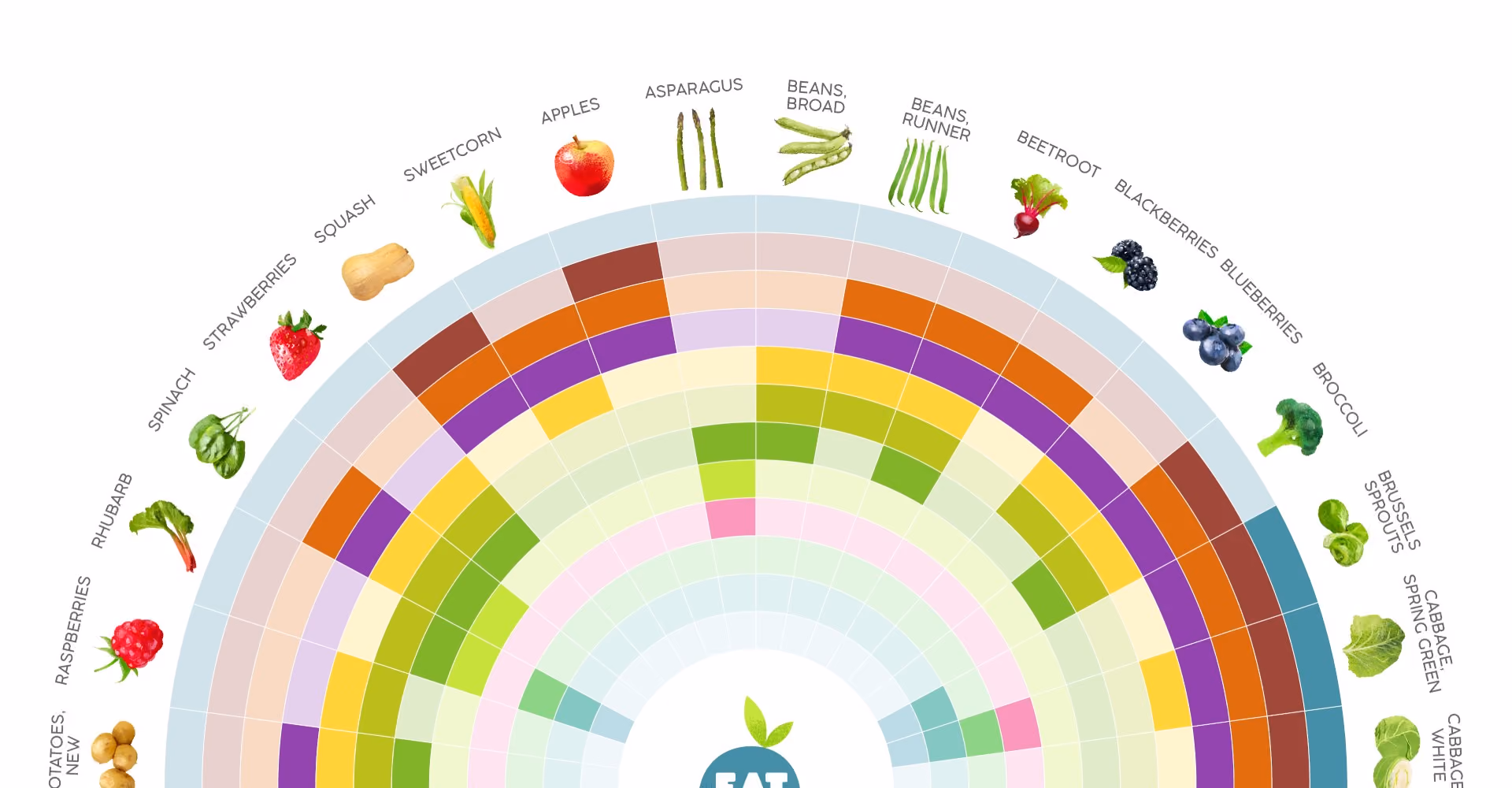 A graphic showing when different fruits and vegetables are in season
