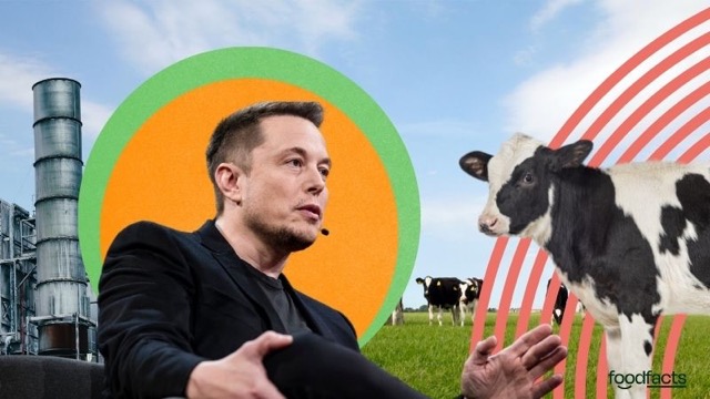 A collage-style image shows Elon Musk seated and speaking, with industrial structures on the left and a cow on a grassy field to the right. Bright graphic elements including green, orange, and red circles add a surreal effect. The image accompanies a FoodFacts.org article discussing Elon Musk's controversial claim that animal agriculture makes no difference to global warming.