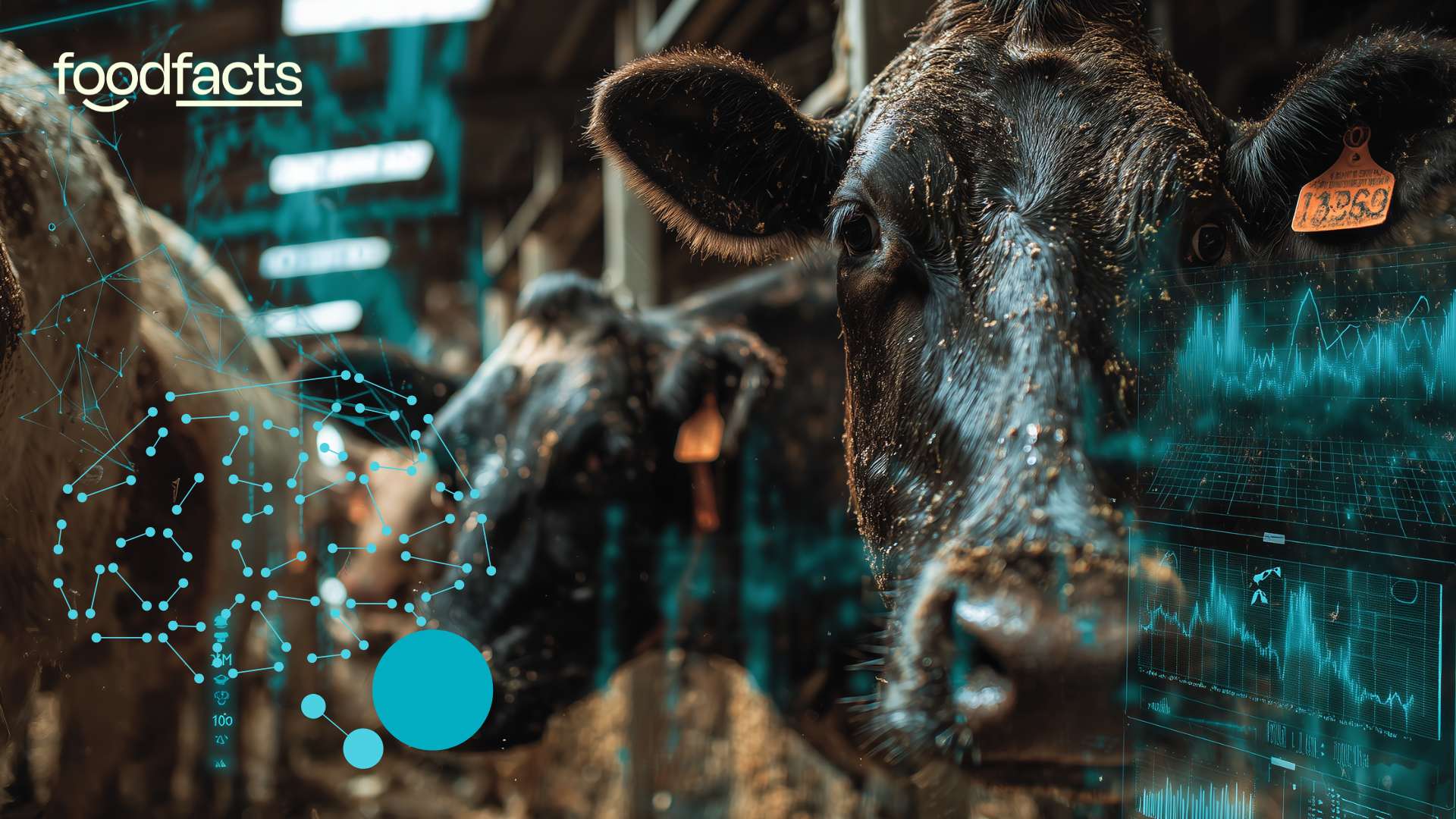 Farmed animals will be likely negatively affected by the use of ai in industrialised animal agriculture systems, due to the increase in demand for efficiency and lowering of ethical standards.