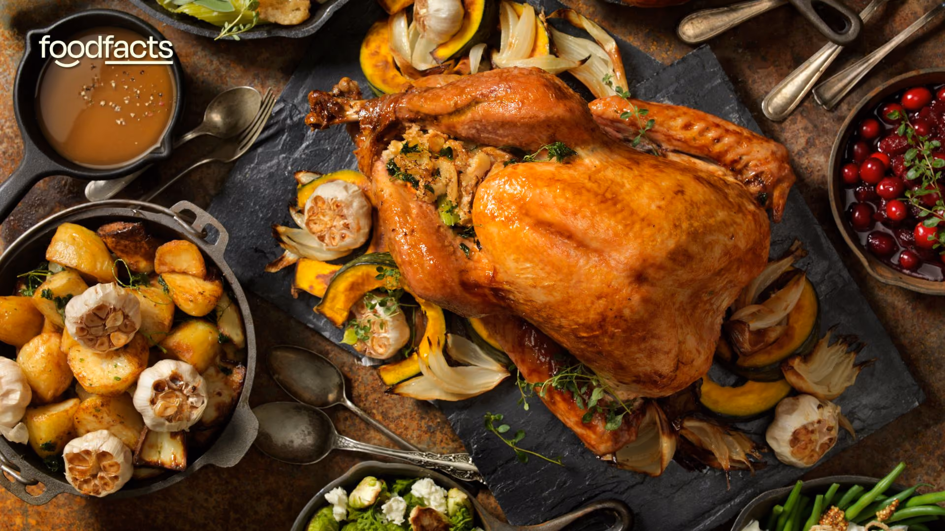 A turkey stands in a cramped farm