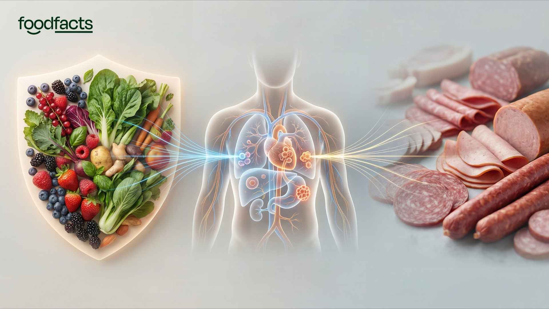 A buffet table. On one side is a range of plant-based dishes. The other side has a range of dairy and deli meats