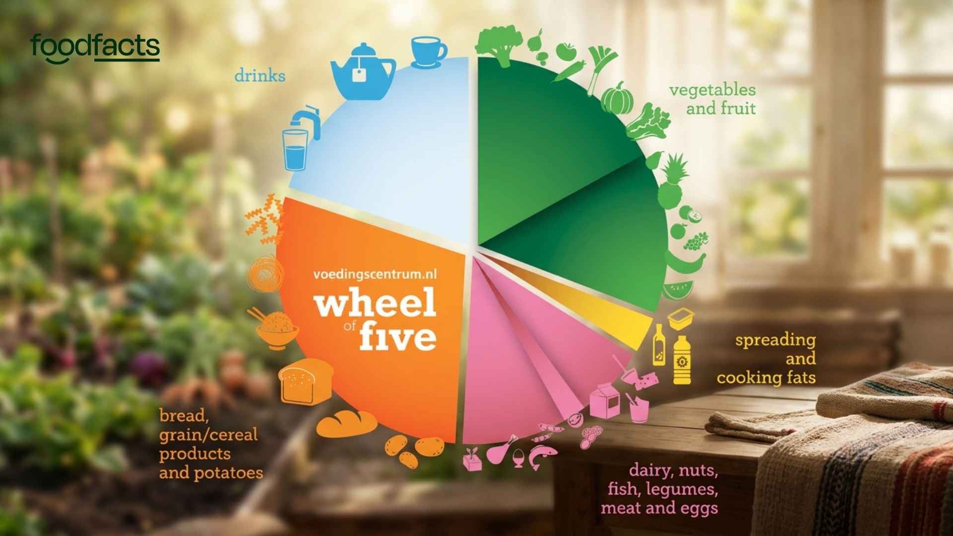 A pie chart showing the updated Dutch dietary guidelines